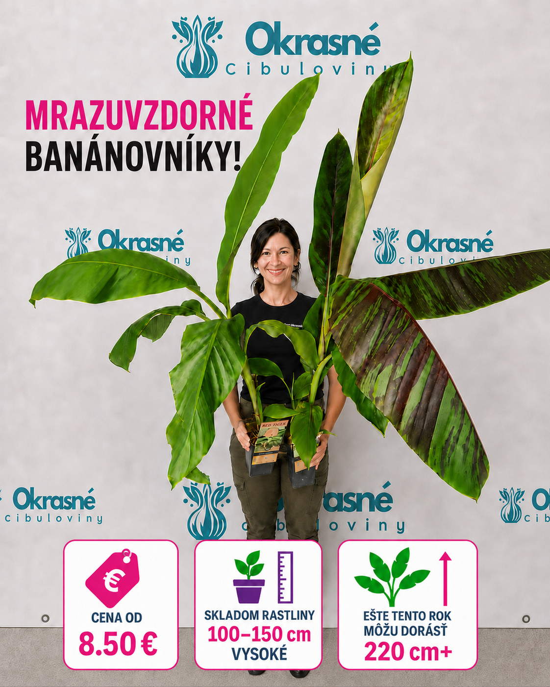 Musa